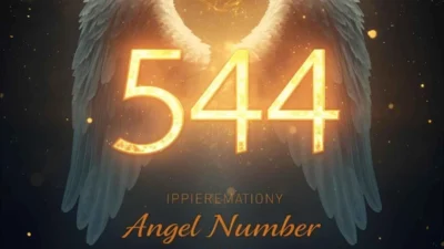 544 Angel Number Meaning